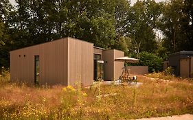Zeegser Duinen
